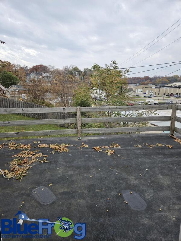 311 Main Avenue property image