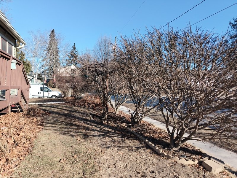 401 Cleveland Avenue property image