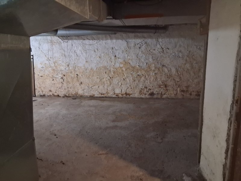 317 Morris Street property image