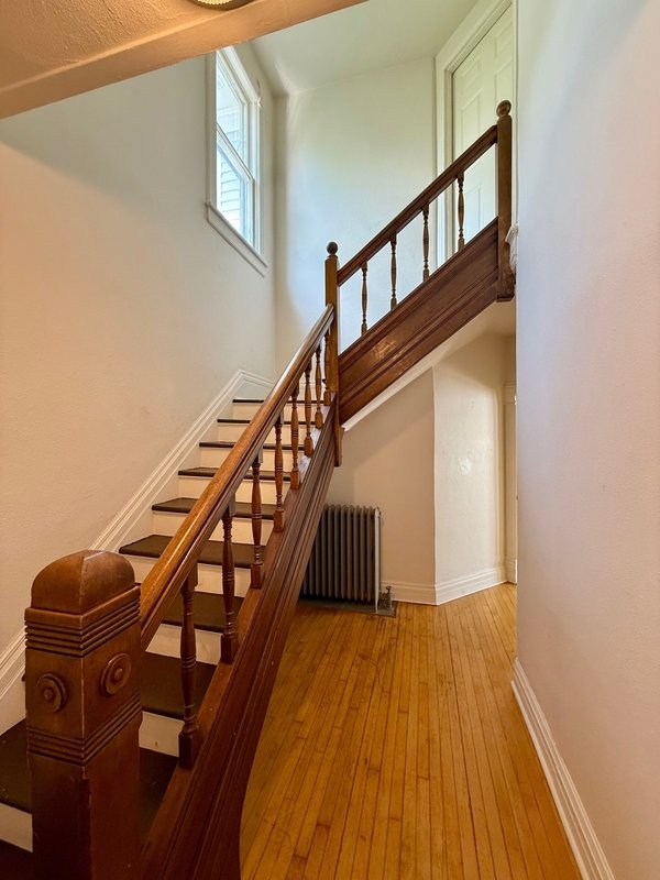 238 Scott Avenue - Lower property image