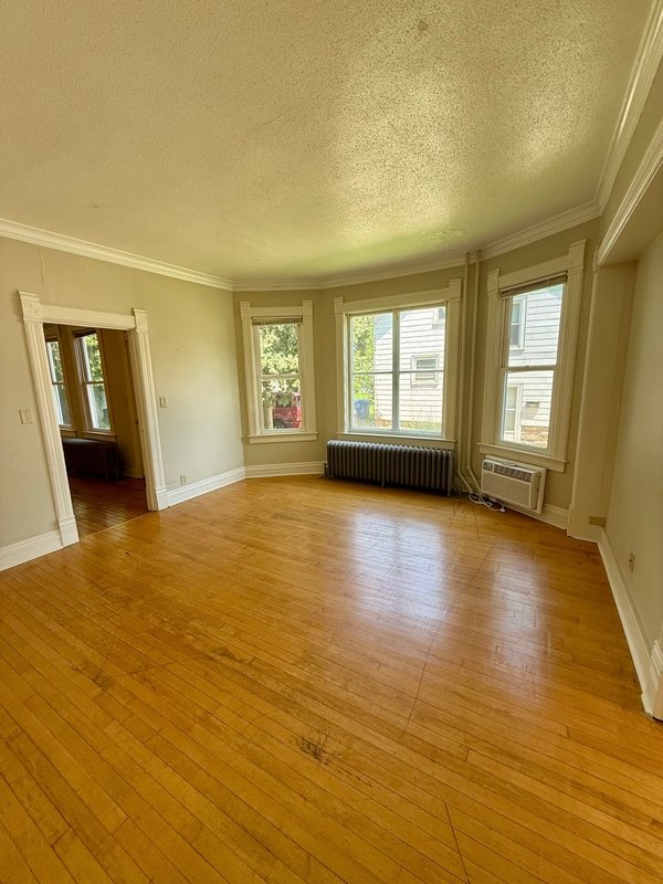 238 Scott Avenue - Lower property image