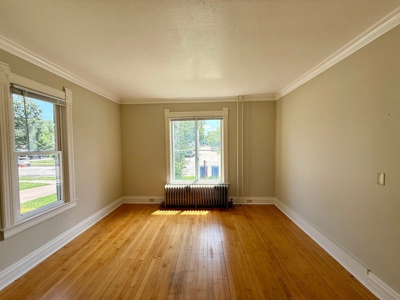 238 Scott Avenue - Lower property image