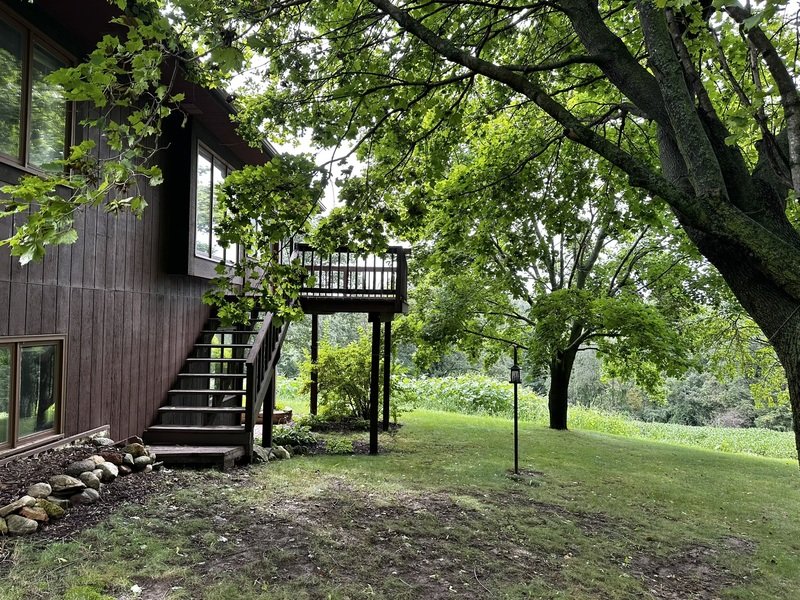 9519 Mullen Drive property image