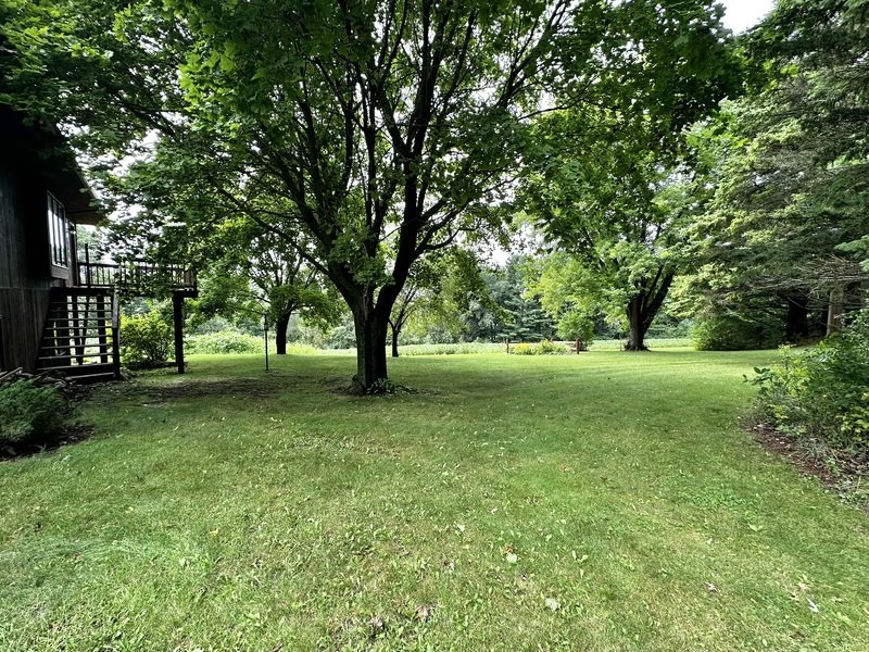 9519 Mullen Drive property image