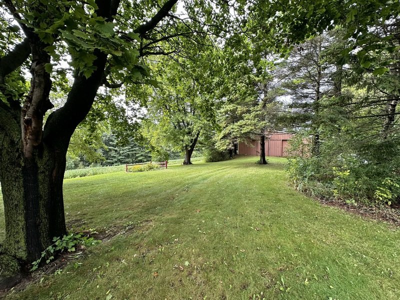 9519 Mullen Drive property image