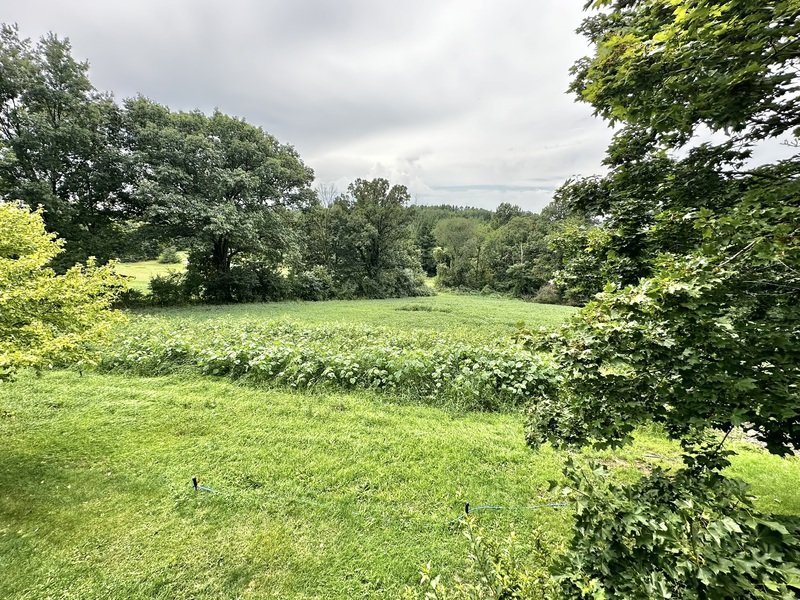 9519 Mullen Drive property image