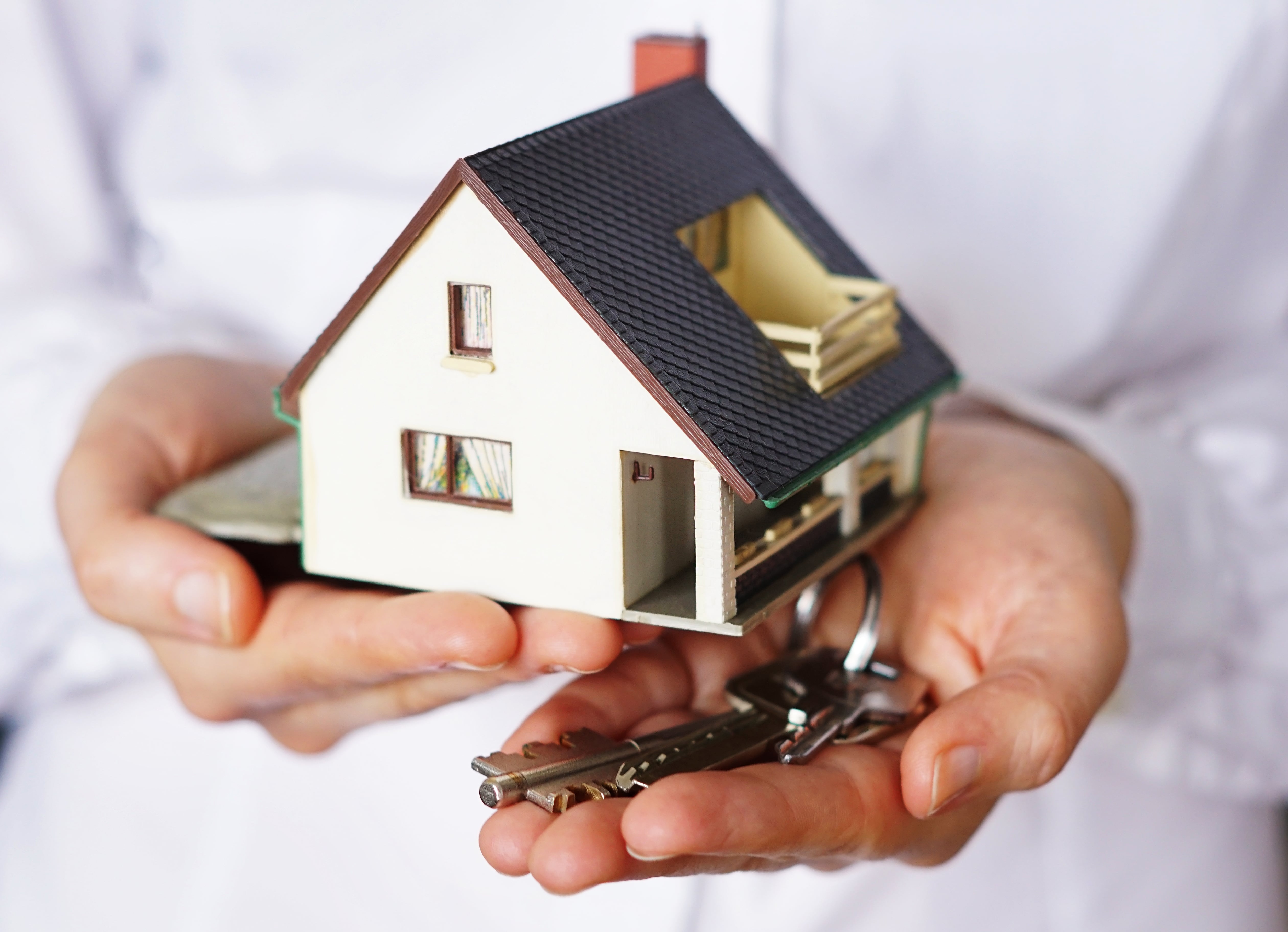 Rental Property Owner