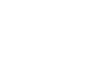 Blue Frog Property Management Logo